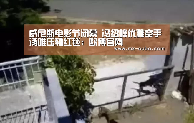 欧博